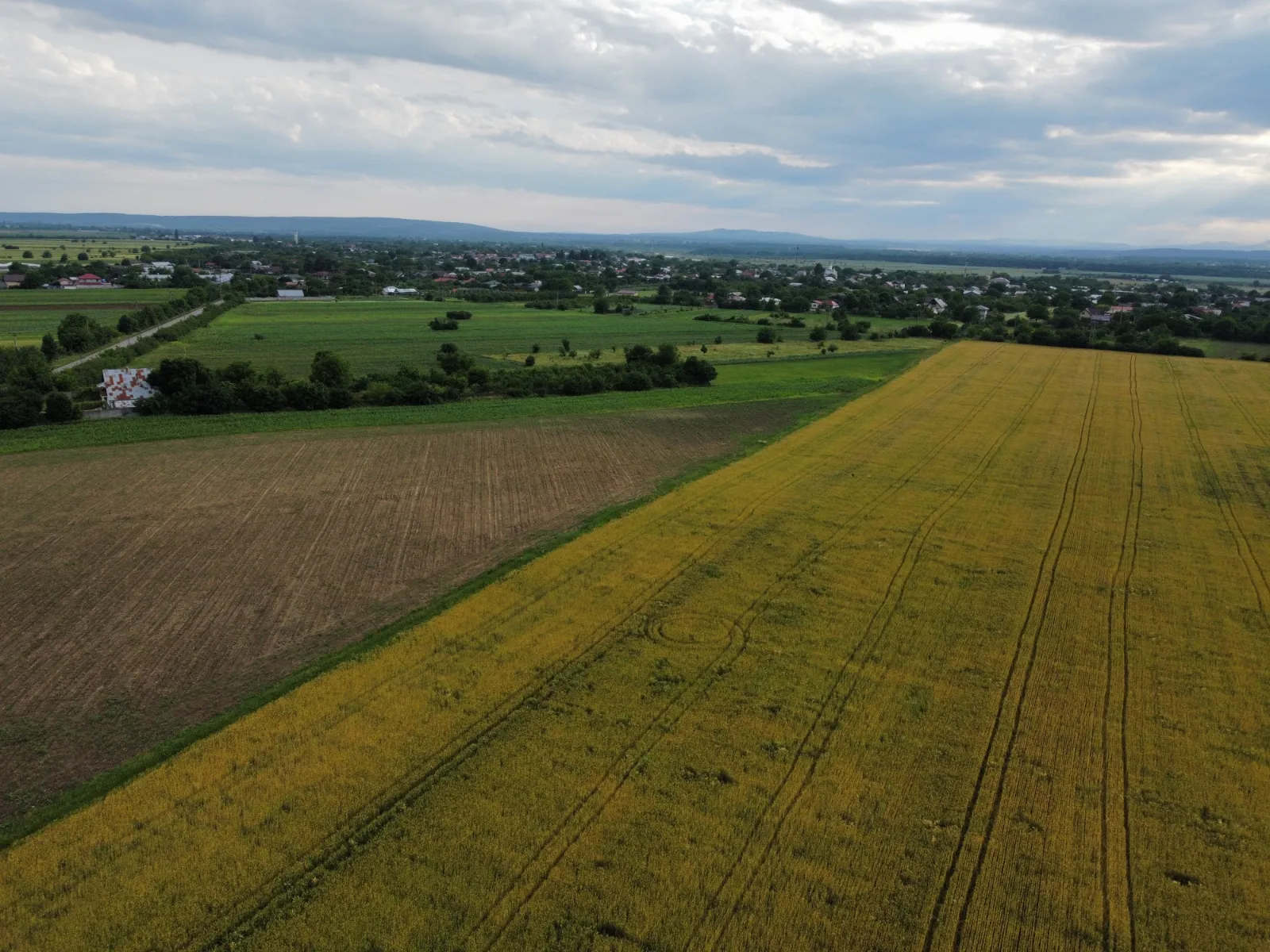 Agricultură · portofoliu Savu Sebastian