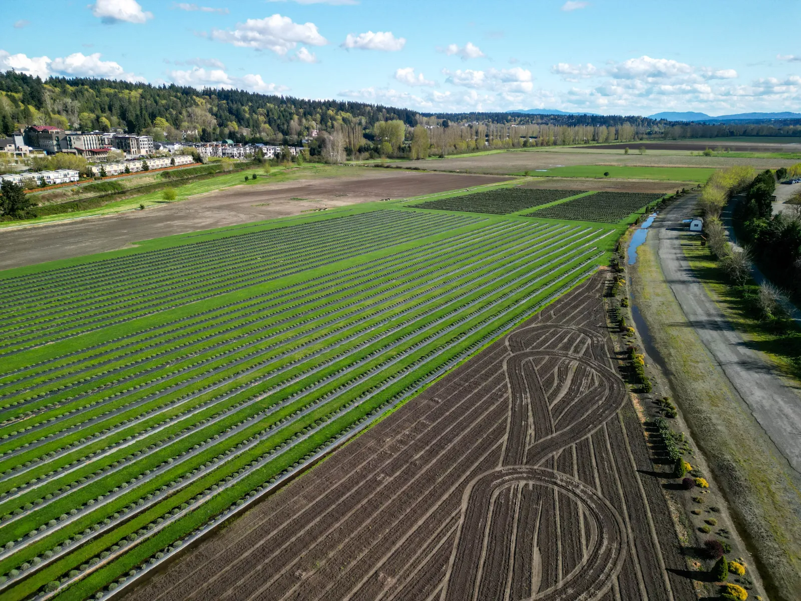 Agriculture work sample by Tanner Scholten