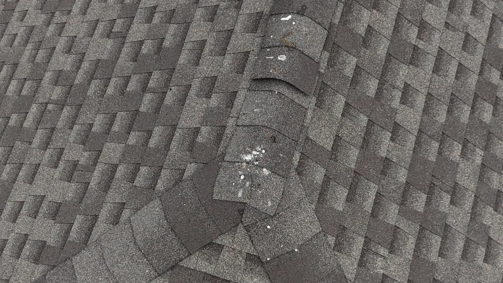 Inspection work sample by Carey Daveler