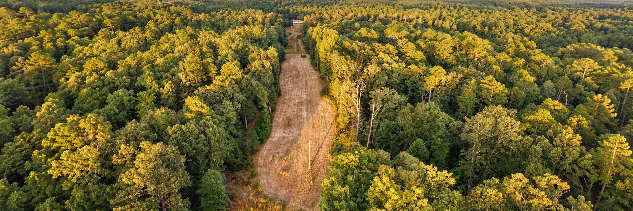 George Euson cover image