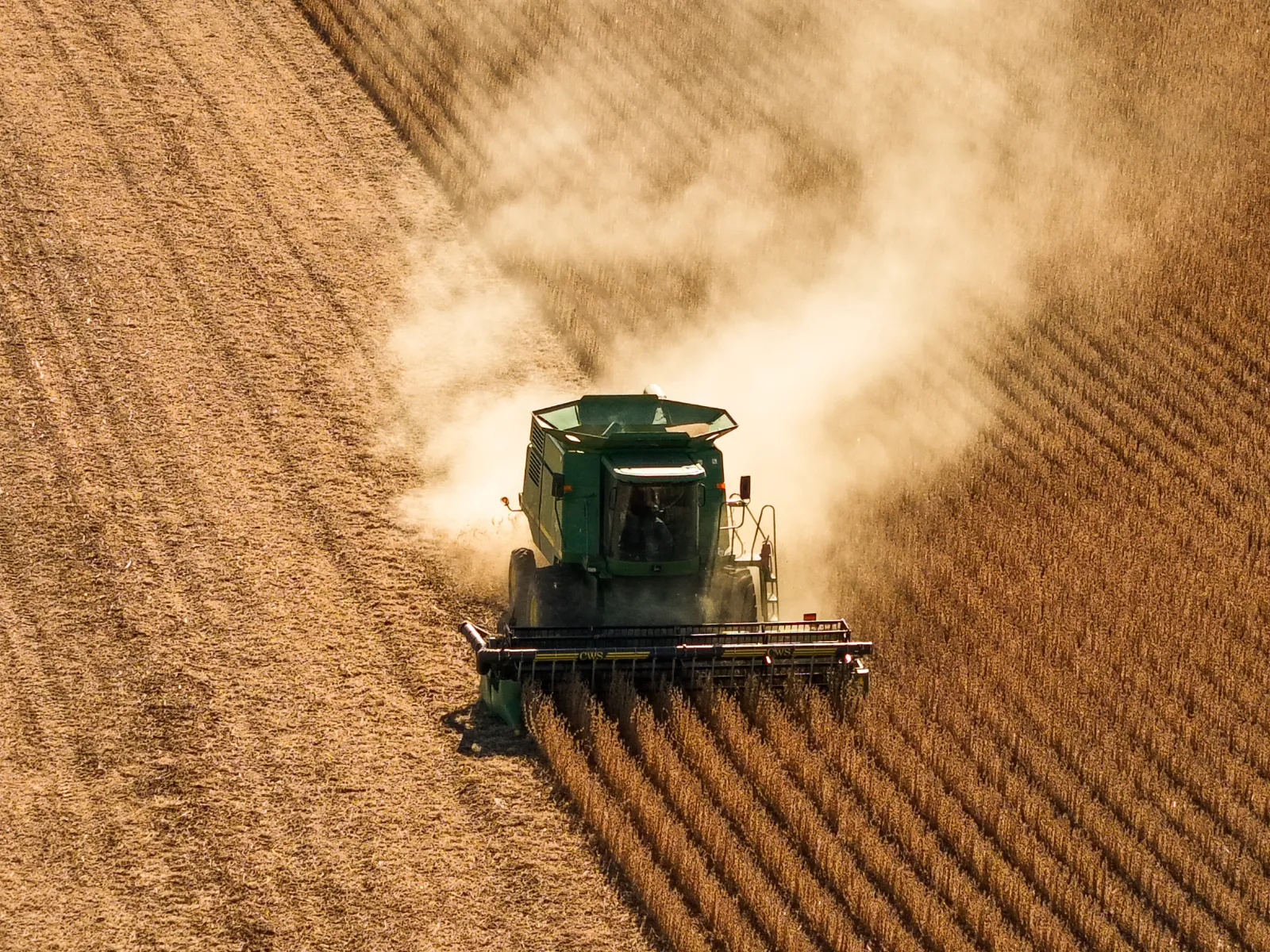 Agriculture work sample by Rob Phillips