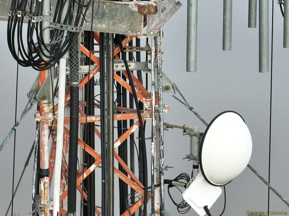 Inspection work sample by George Colonna