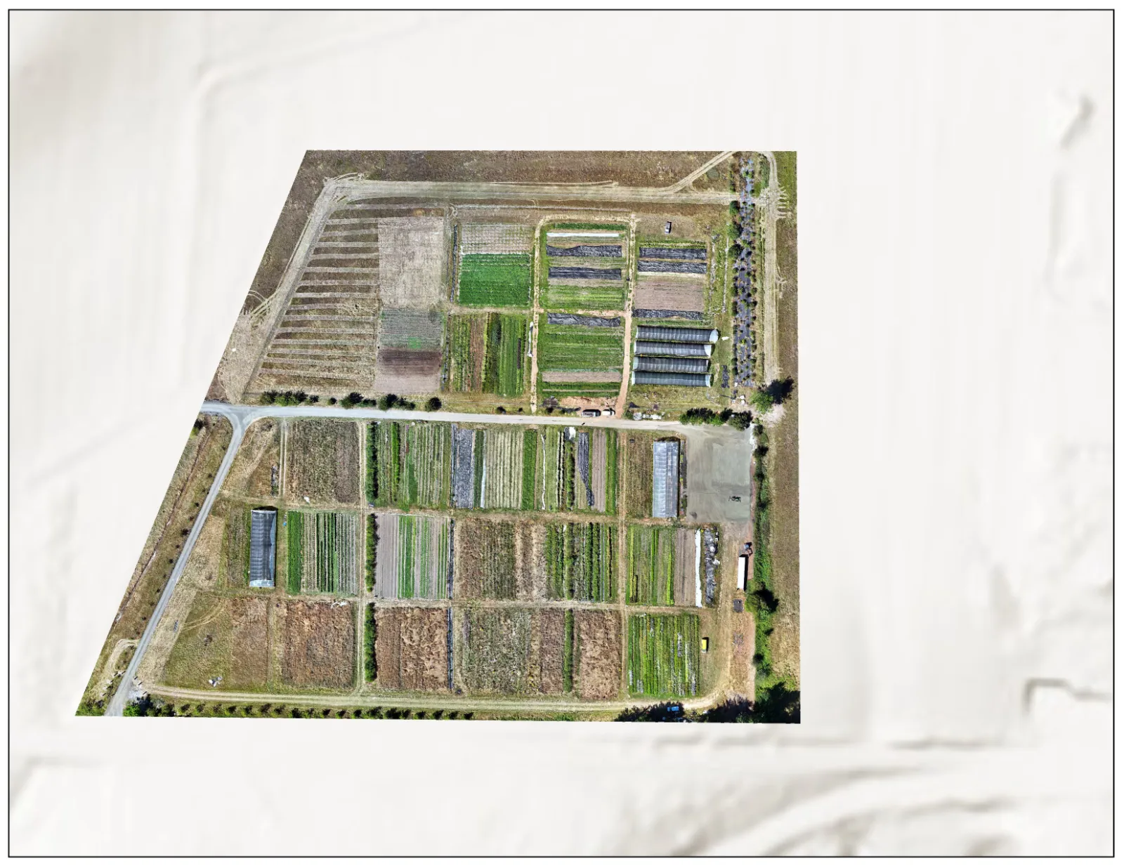 Agriculture work sample by Corey Williams