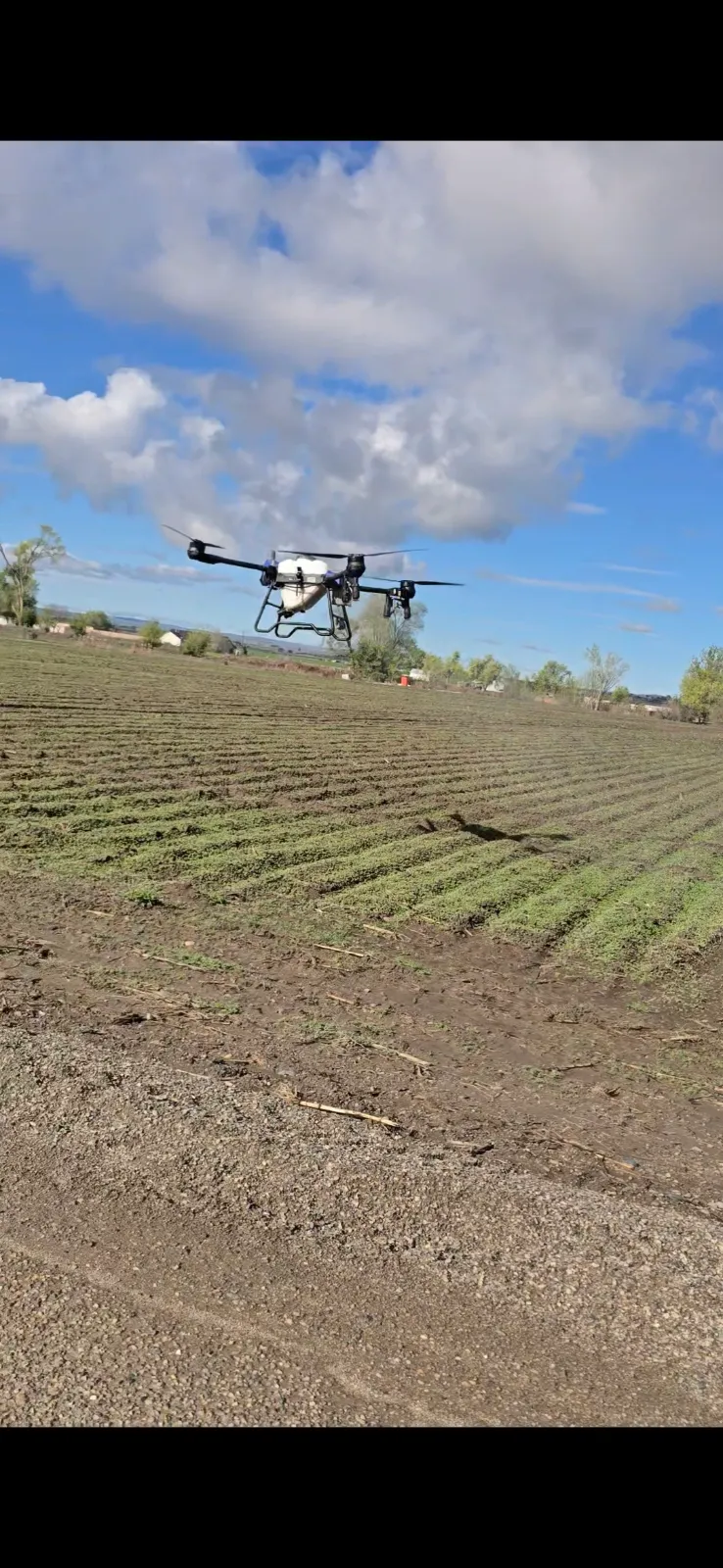 Agriculture work sample by Destry  Clark
